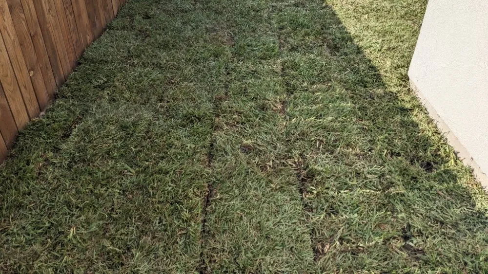Reliable residential landscaping in Donna, TX - RGV Lawn Care and More