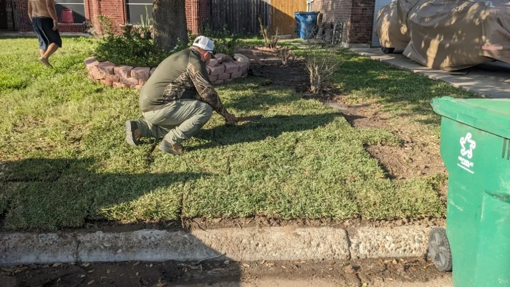 Expert landscape installation for beautiful yards across Donna, TX - RGV Lawn Care and More