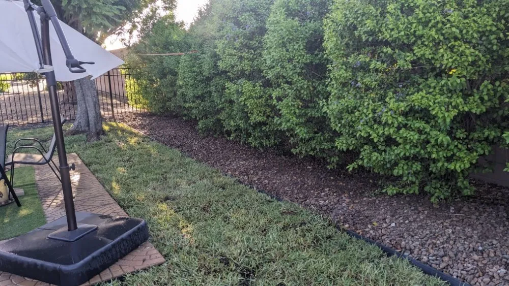 Top-rated lawn mowing service in Donna, TX - RGV Lawn Care and More