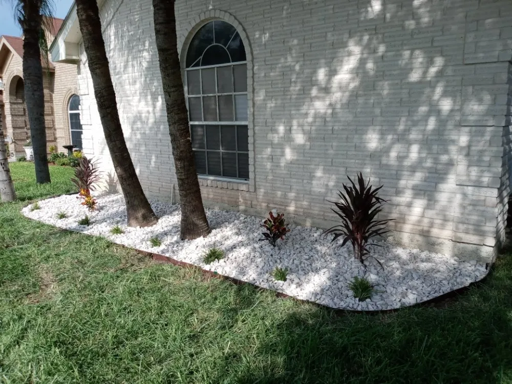Local landscaping services in Monte Alto, TX by Rgv Services