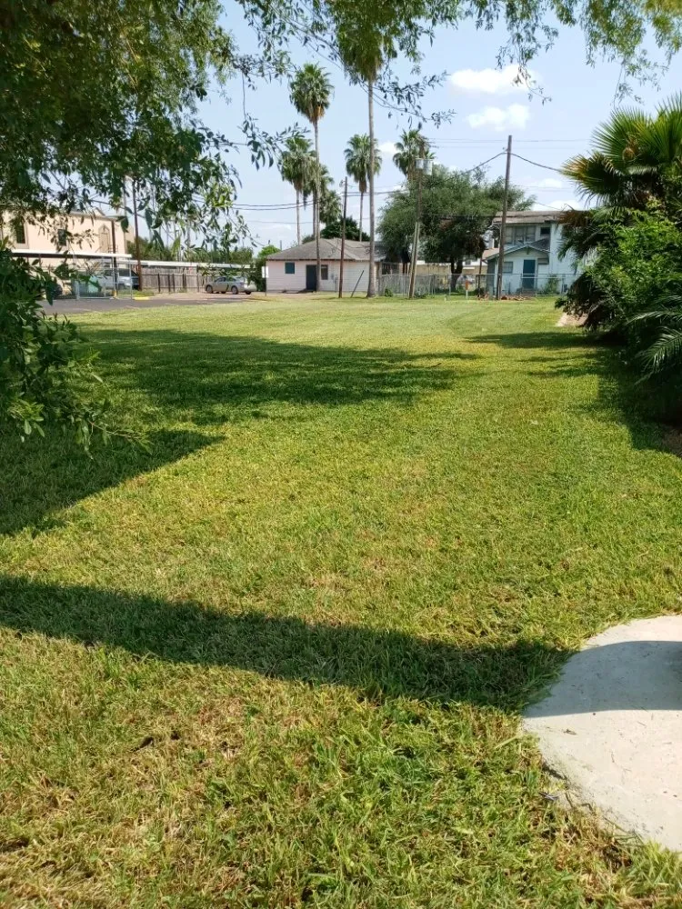 Local outdoor landscaping in Monte Alto, TX by Rgv Services