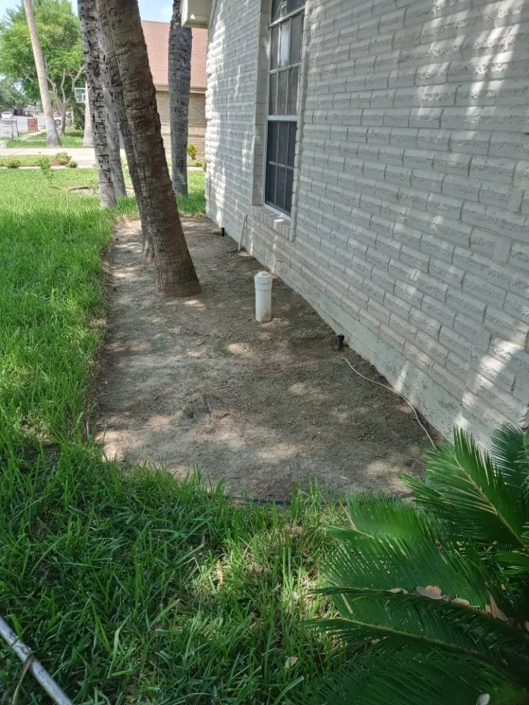 Top-rated yard maintenance experts serving Monte Alto, TX - Rgv Services