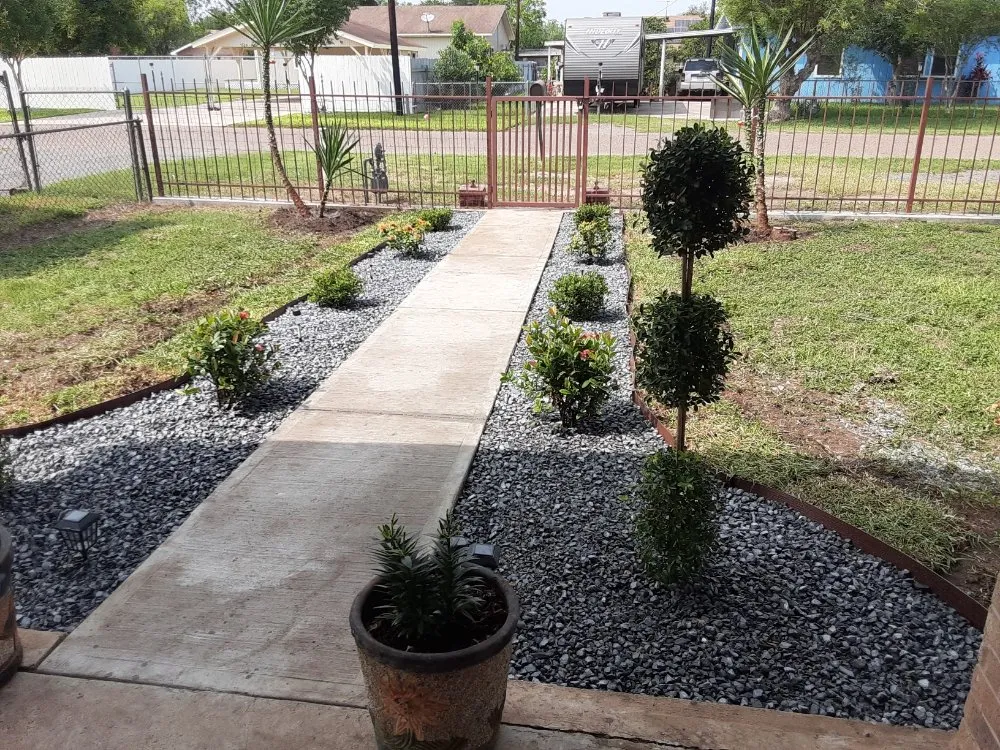 Reliable lawn care service in Monte Alto, TX by Rgv Services