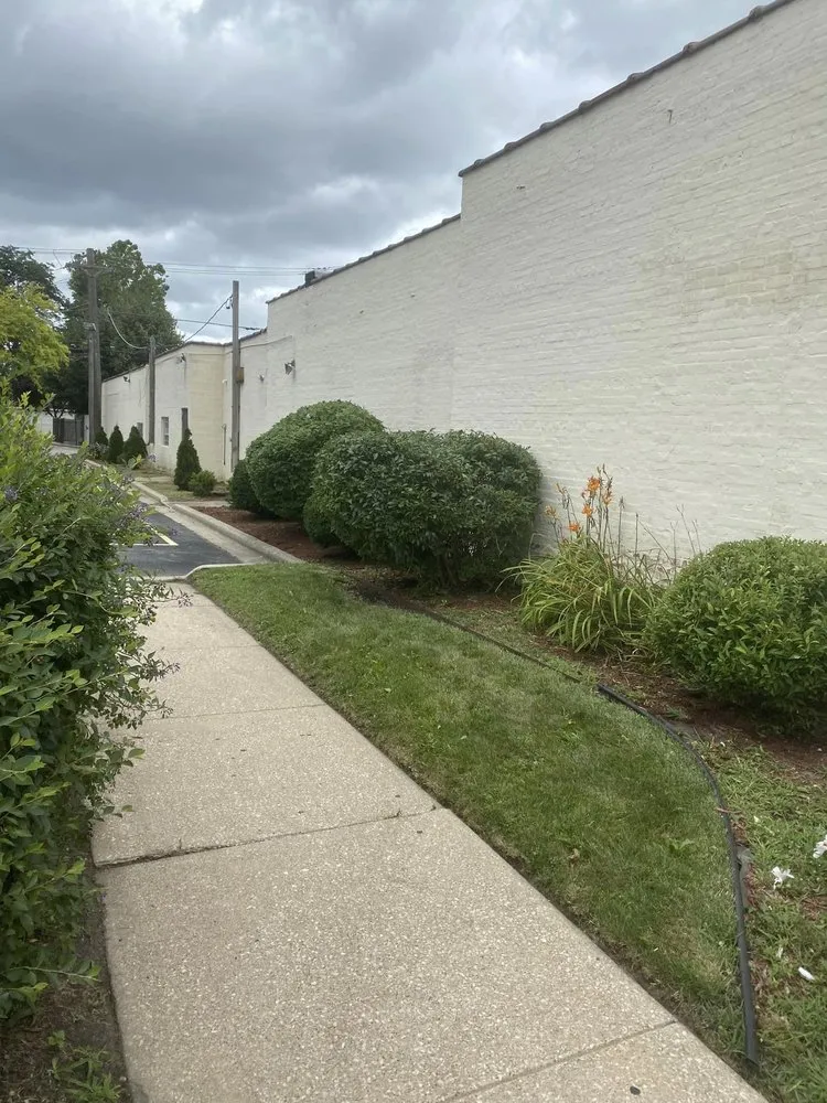 Reliable yard maintenance in Chicago, IL - Rgw Yearly Service