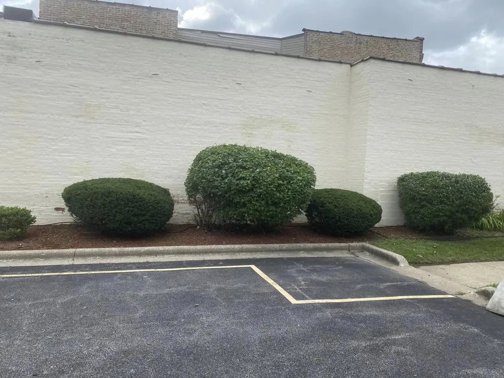 Custom landscape installation in Chicago, IL by Rgw Yearly Service