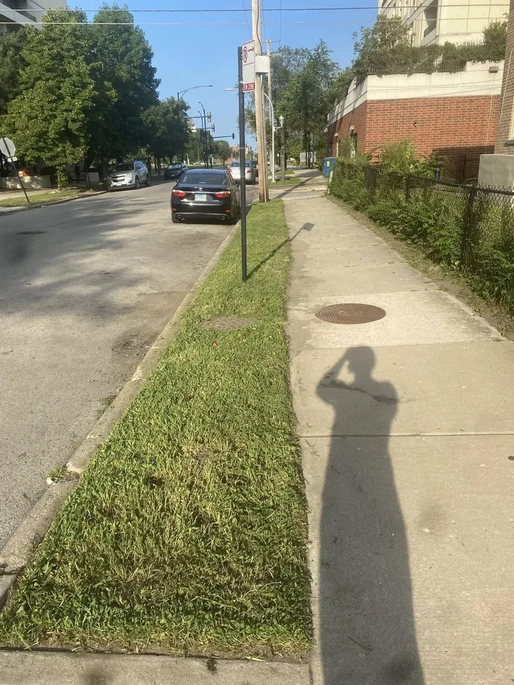 Professional yard maintenance in Chicago, IL - Rgw Yearly Service