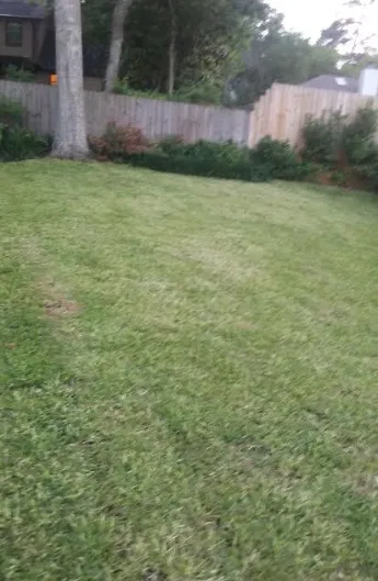 Trusted lawn care service in Tallahassee, FL - RH Enterprises of North Florida