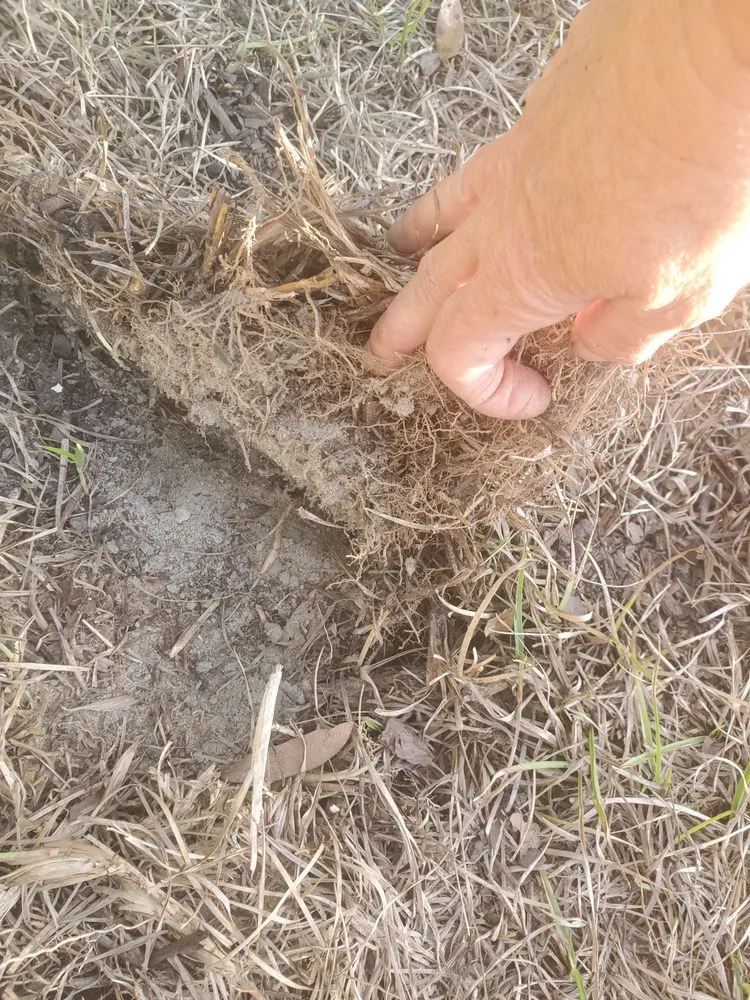 Top-rated residential landscaping for outdoor upgrades across Tallahassee, FL - RH Enterprises of North Florida