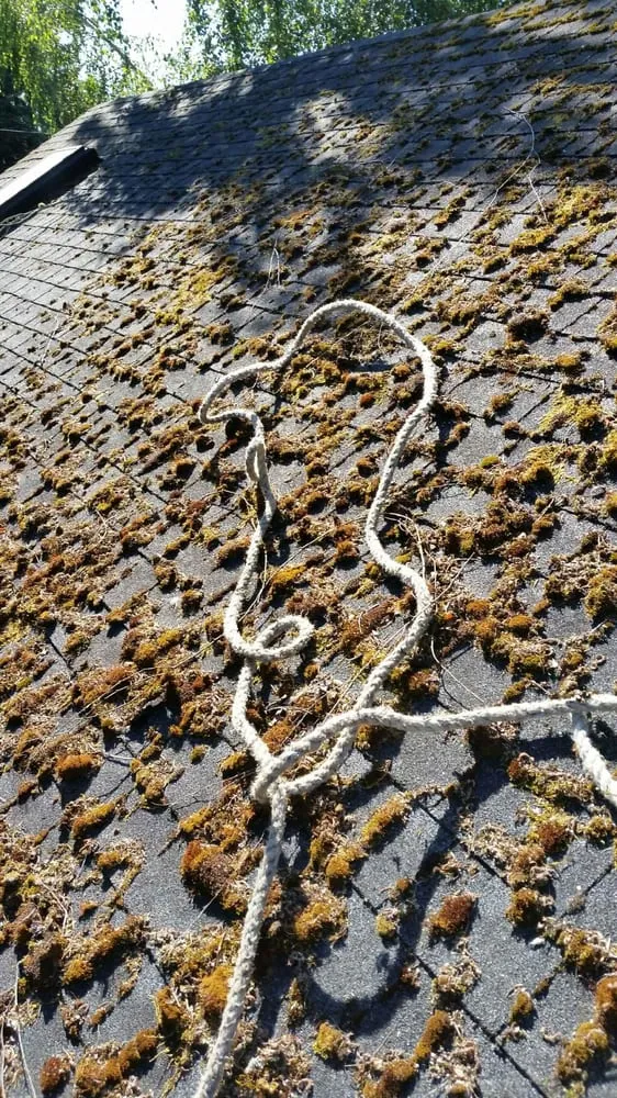 Top-rated residential landscaping near you across Mount Angel, OR - RH Family Landscaping