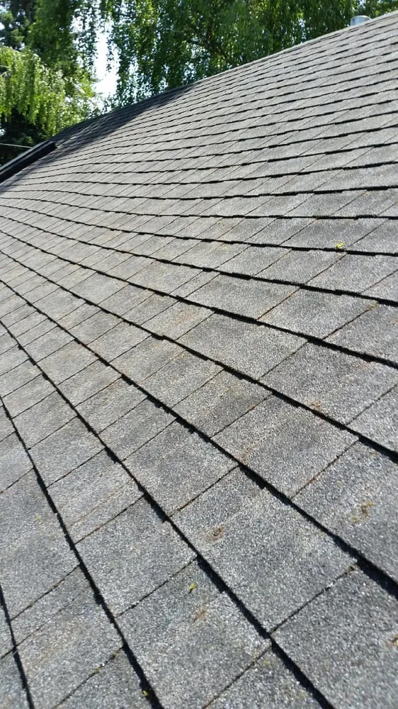 Expert yard cleanup service in Mount Angel, OR - RH Family Landscaping