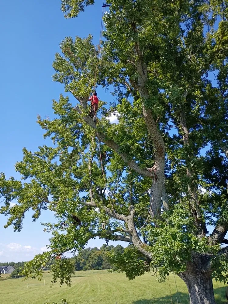 Top-rated garden landscaping in Tyler, TX by R&H Landscaping and Construction