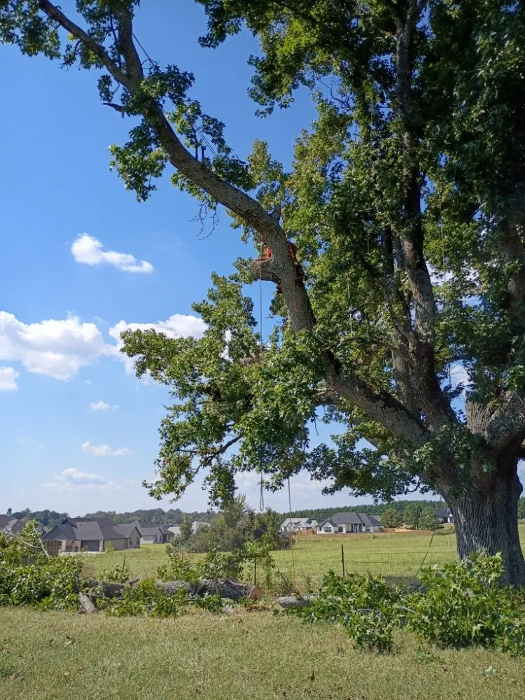 Local outdoor landscaping in Tyler, TX by R&H Landscaping and Construction