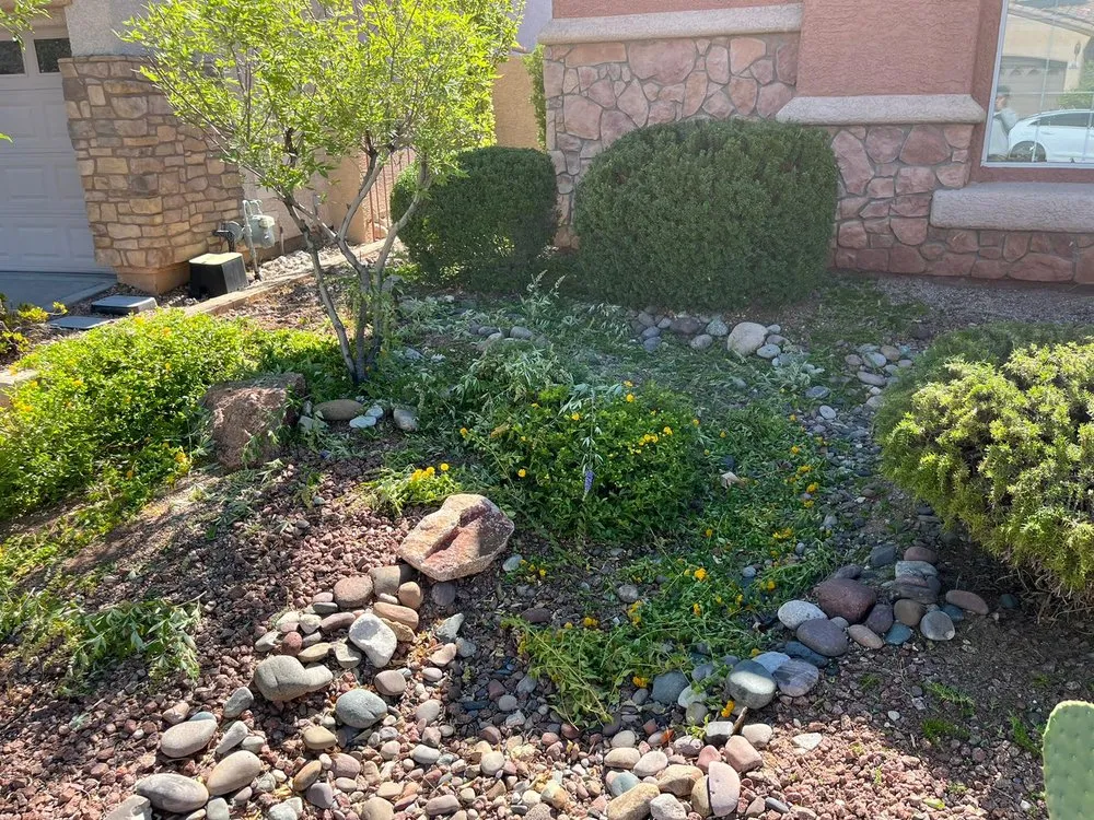 Top-rated residential landscaping in Las Vegas, NV - RH Landscaping And Gardening Services