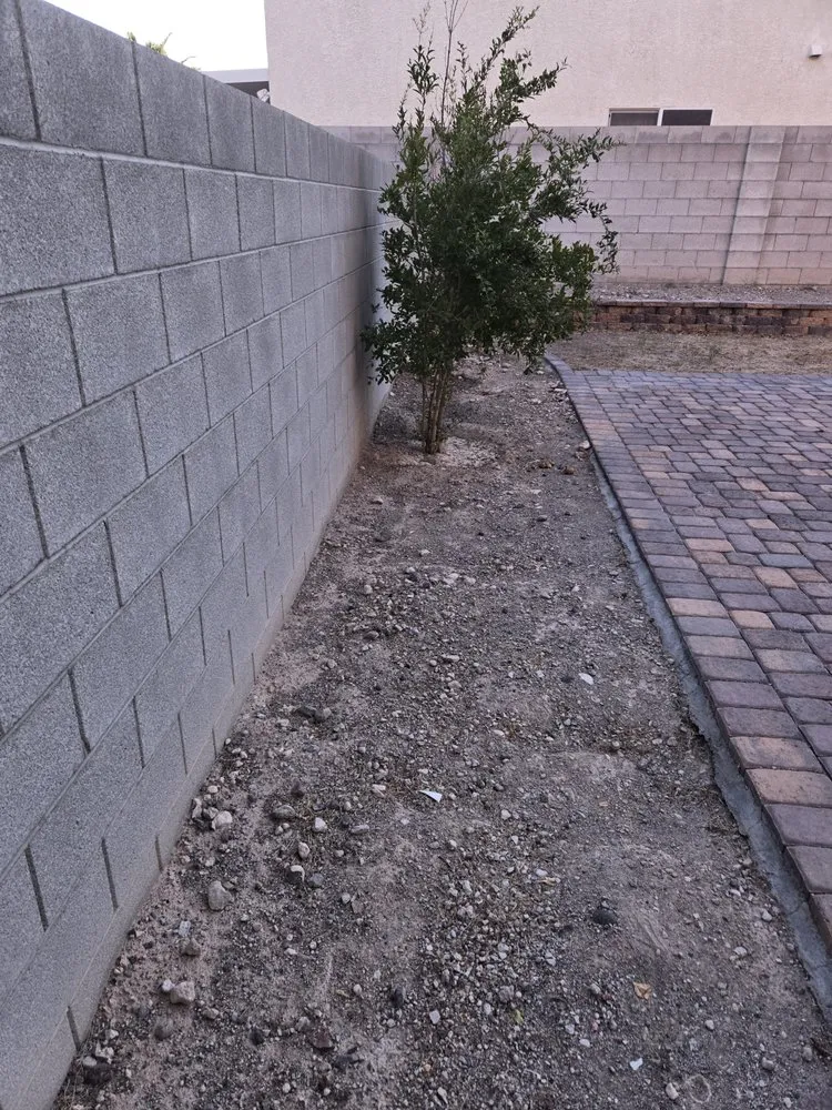 Professional lawn care service in Las Vegas, NV by RH Landscaping And Gardening Services