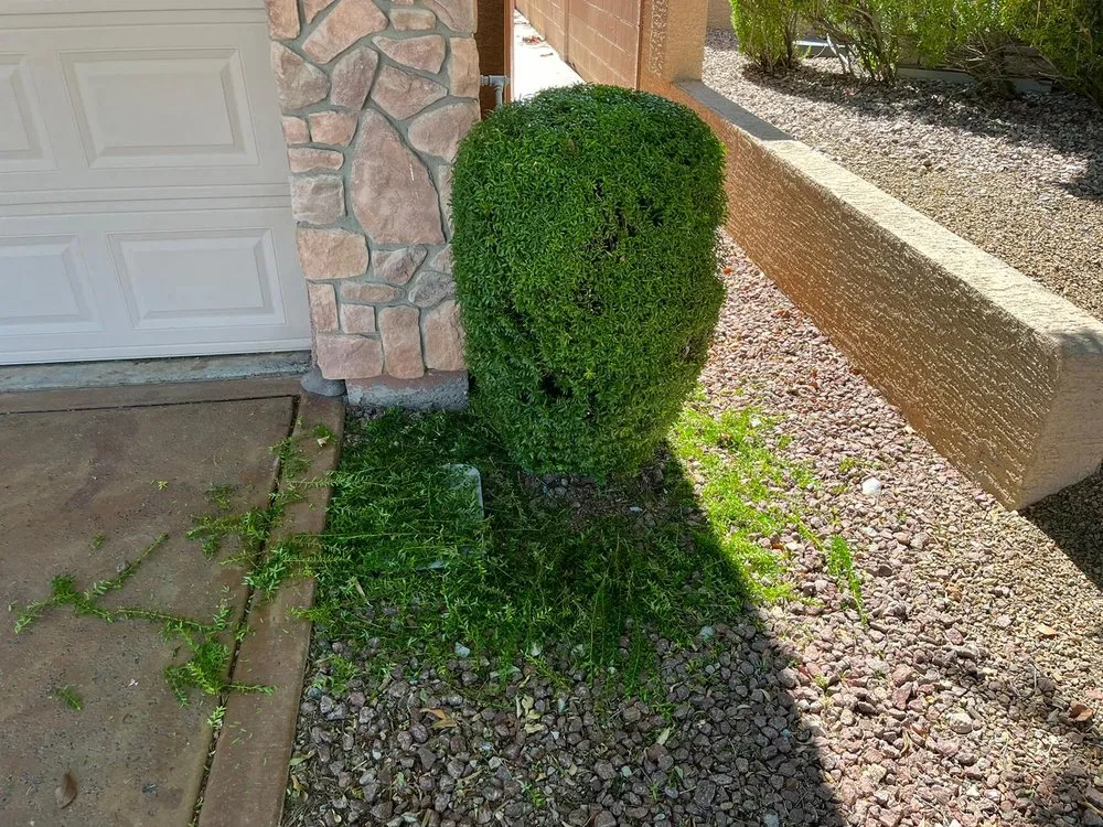 Expert outdoor landscaping in Las Vegas, NV by RH Landscaping And Gardening Services
