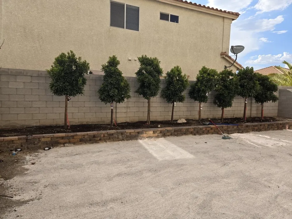 Reliable yard cleanup service for year-round maintenance across Las Vegas, NV - RH Landscaping And Gardening Services
