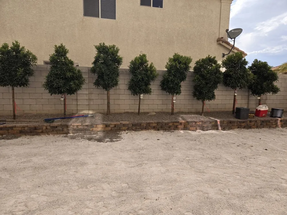 Local yard cleanup service in Las Vegas, NV by RH Landscaping And Gardening Services