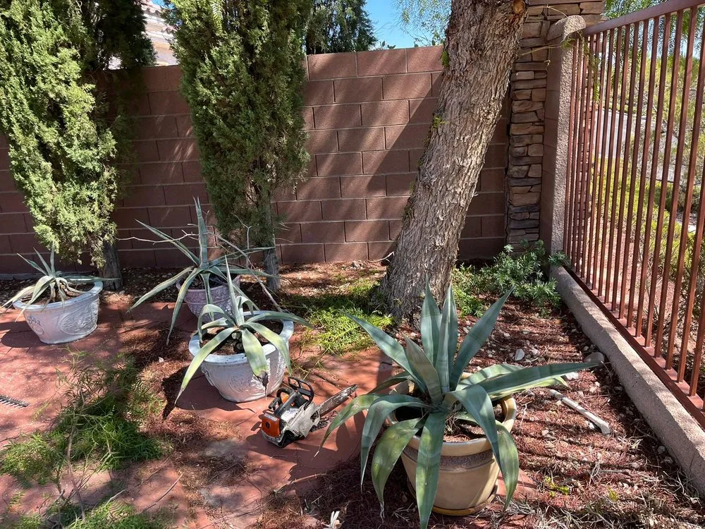 Professional yard cleanup service for outdoor upgrades across Las Vegas, NV - RH Landscaping And Gardening Services