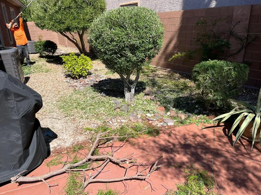 Affordable landscape installation in Las Vegas, NV by RH Landscaping And Gardening Services