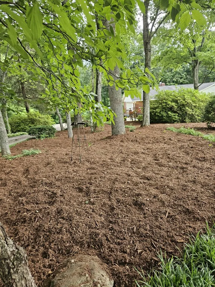Top-rated lawn care service for outdoor upgrades in Elkin, NC by R&H Landscaping and Grading