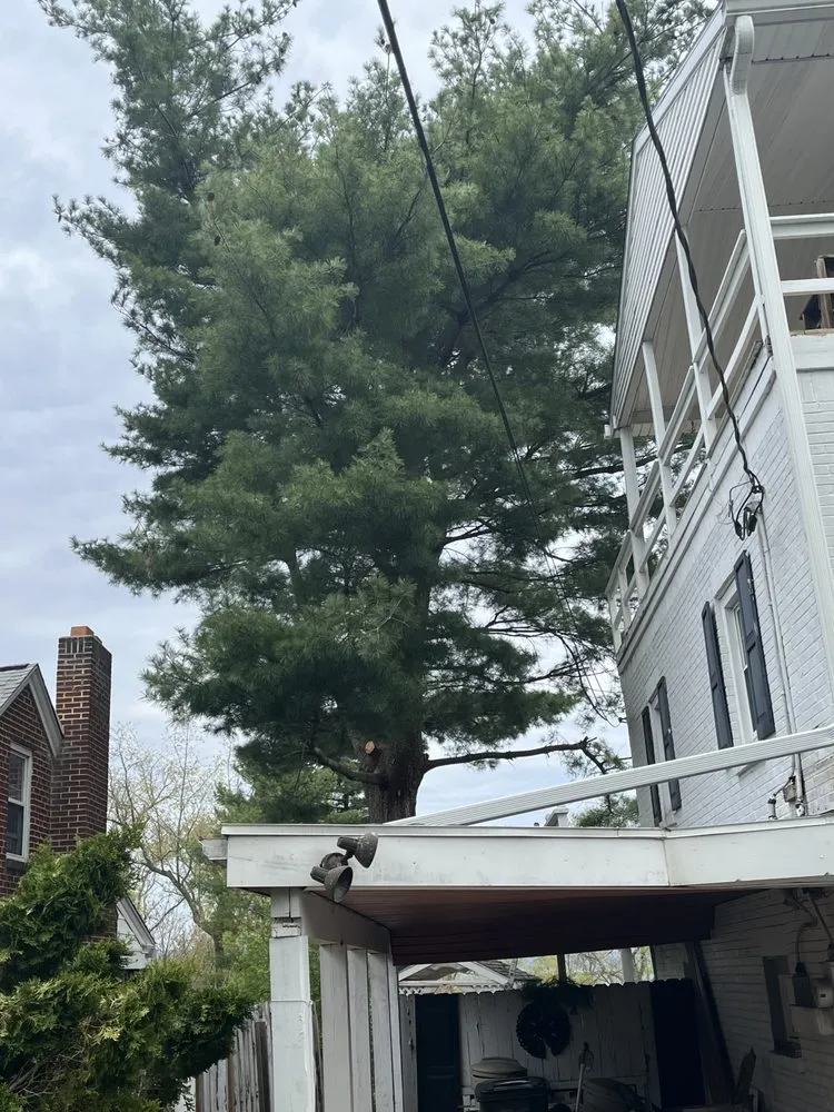 Affordable landscape installation for residential properties across Lemoyne, PA - R&H Landscaping Services