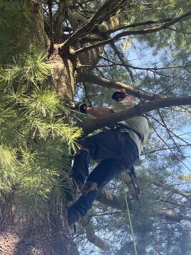 Local lawn care service in Lemoyne, PA - R&H Landscaping Services