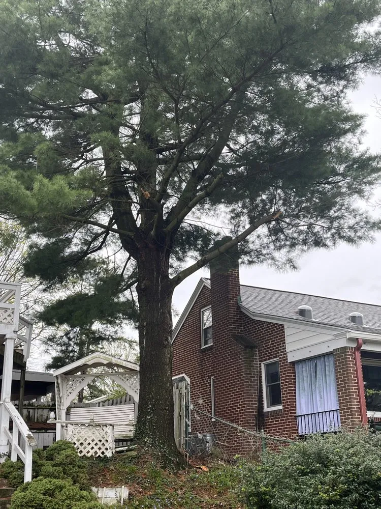 Local yard maintenance near you across Lemoyne, PA - R&H Landscaping Services