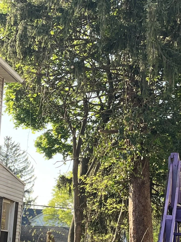 Trusted yard maintenance experts serving Lemoyne, PA - R&H Landscaping Services