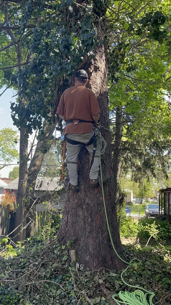 Custom yard cleanup service experts serving Lemoyne, PA - R&H Landscaping Services