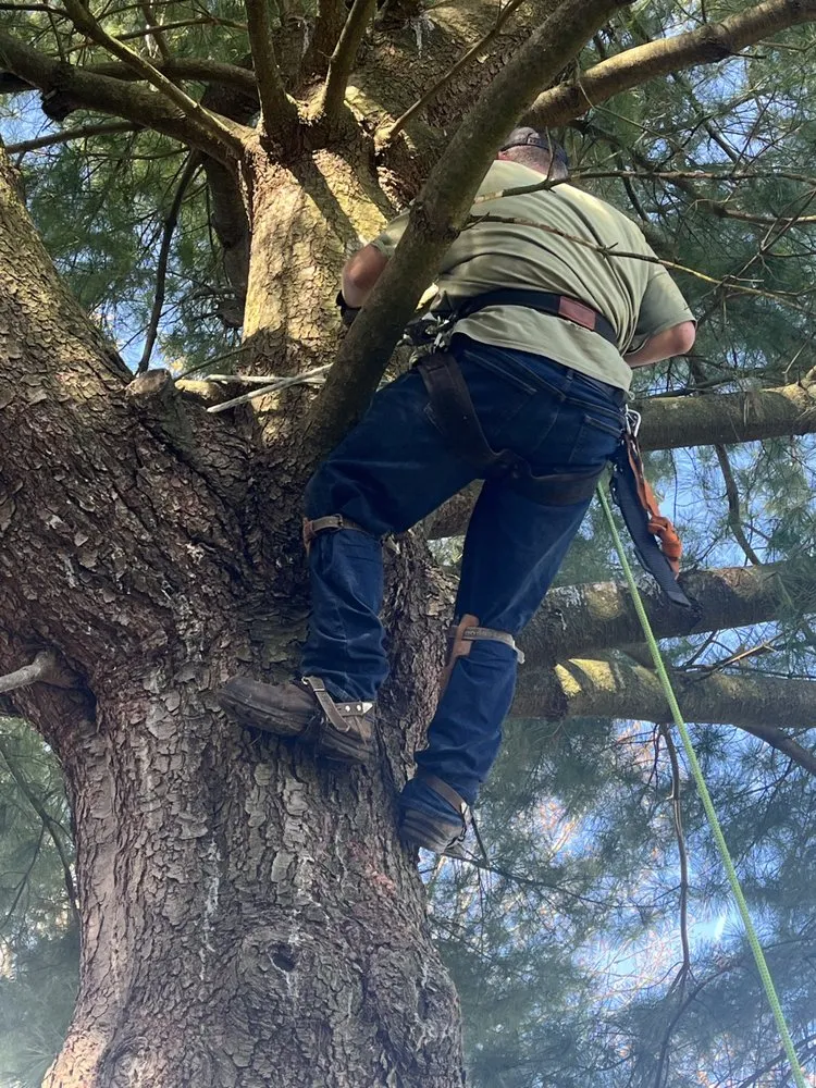 Reliable outdoor landscaping for homes across Lemoyne, PA - R&H Landscaping Services