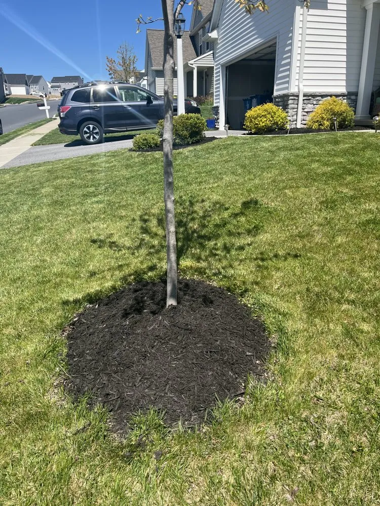 Custom landscape installation for year-round maintenance across Lemoyne, PA - R&H Landscaping Services