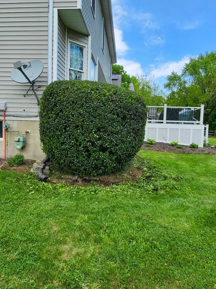 Custom landscape installation for beautiful yards across Stanhope, NJ - RH Landscaping