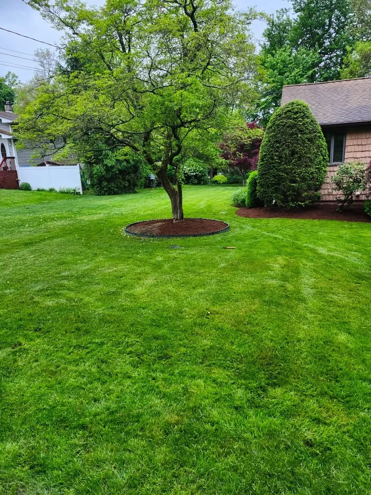 Local yard cleanup service for year-round maintenance in Stanhope, NJ by RH Landscaping