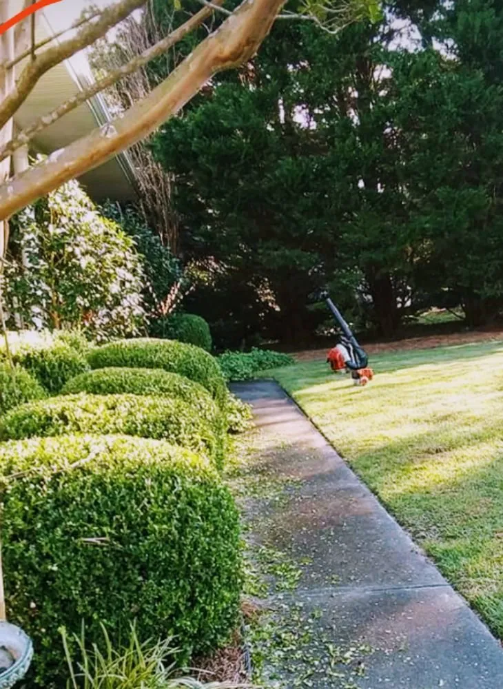 Professional residential landscaping experts serving Tampa, FL - RH Lawn Care Service