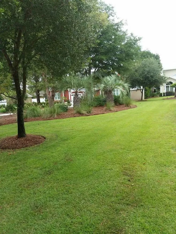 Affordable landscape design for outdoor upgrades across Tampa, FL - RH Lawn Care Service