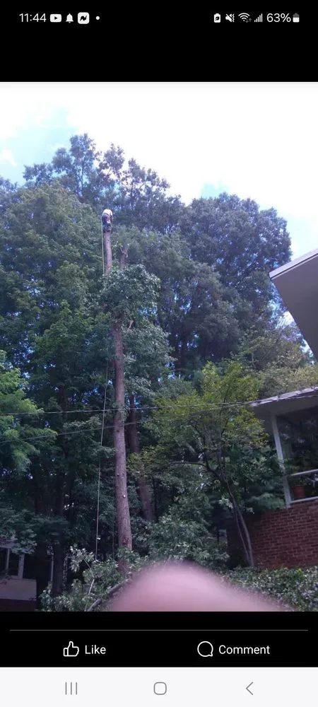 Local yard maintenance experts serving Engleside, VA - RH Thee And Lawn Services