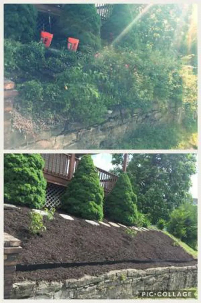 Reliable lawn mowing service in Penn Hills, PA by RHC Lawn Services