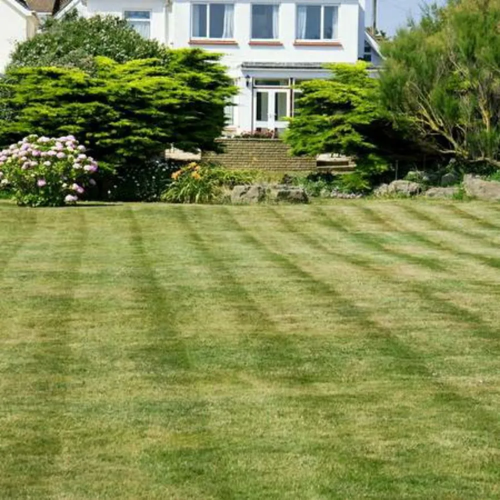 Top-rated yard cleanup service in Penn Hills, PA by RHC Lawn Services