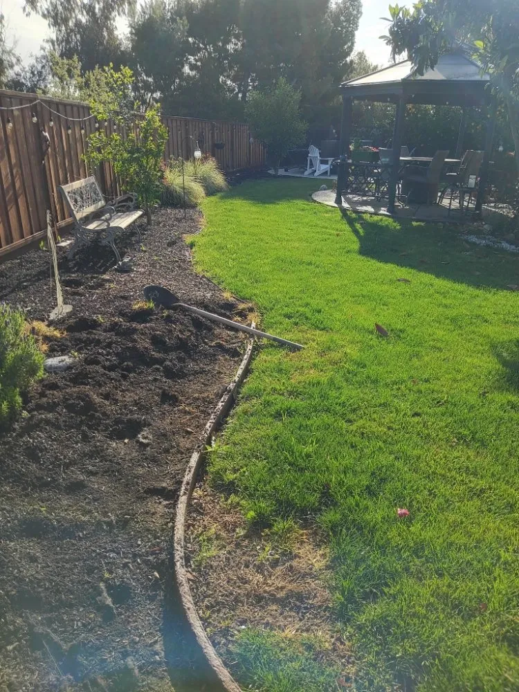 Local yard maintenance for outdoor upgrades across Antioch, CA - RHD Landscaping