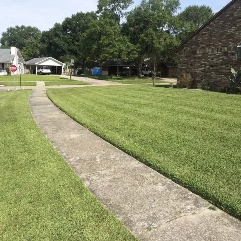 Local yard cleanup service in Baton Rouge, LA by Rheams Enterprise