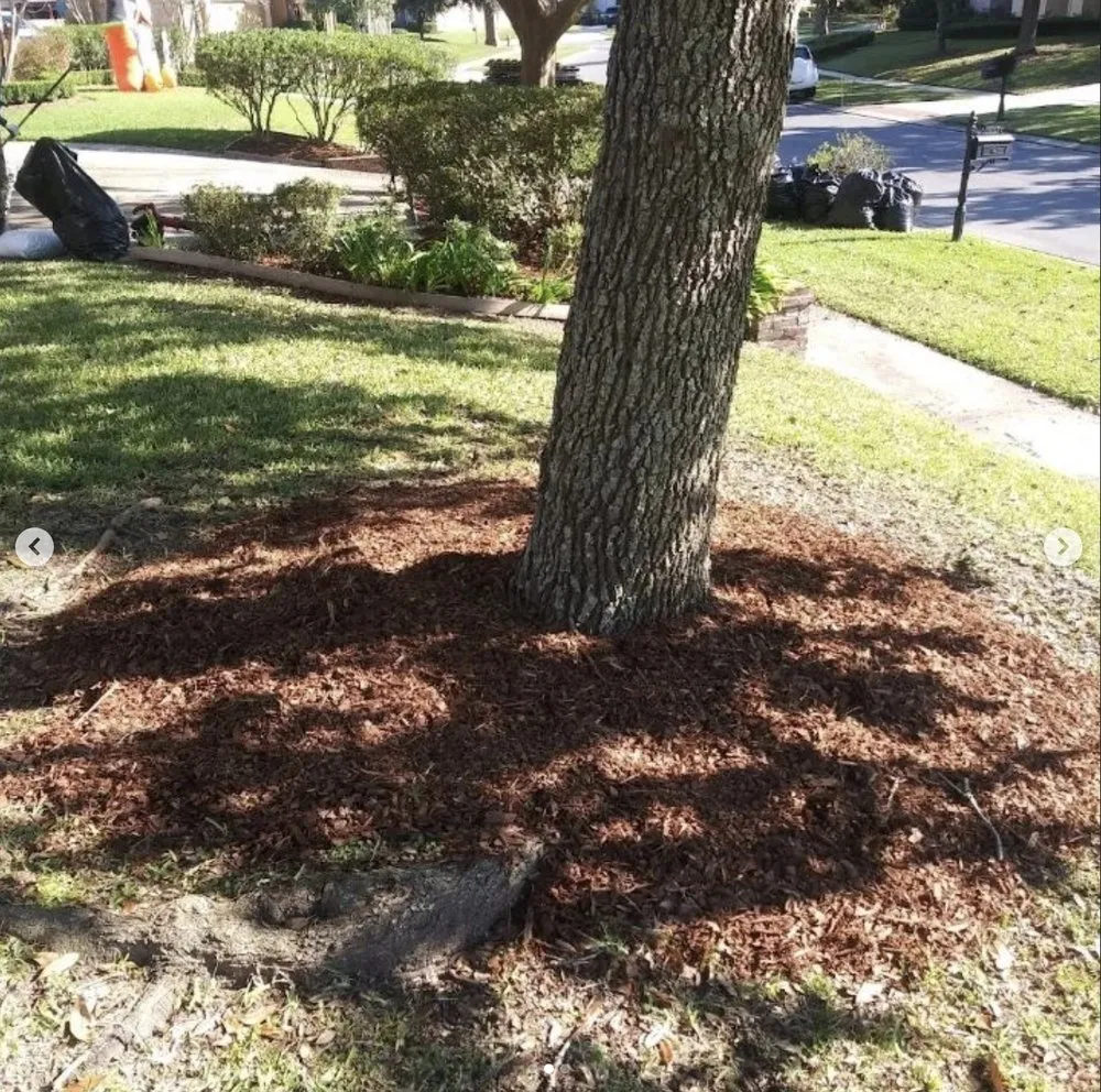 Professional lawn mowing service with custom design across Baton Rouge, LA - Rheams Enterprise