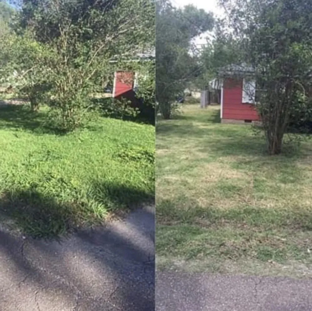 Reliable landscape design in Baton Rouge, LA - Rheams Enterprise