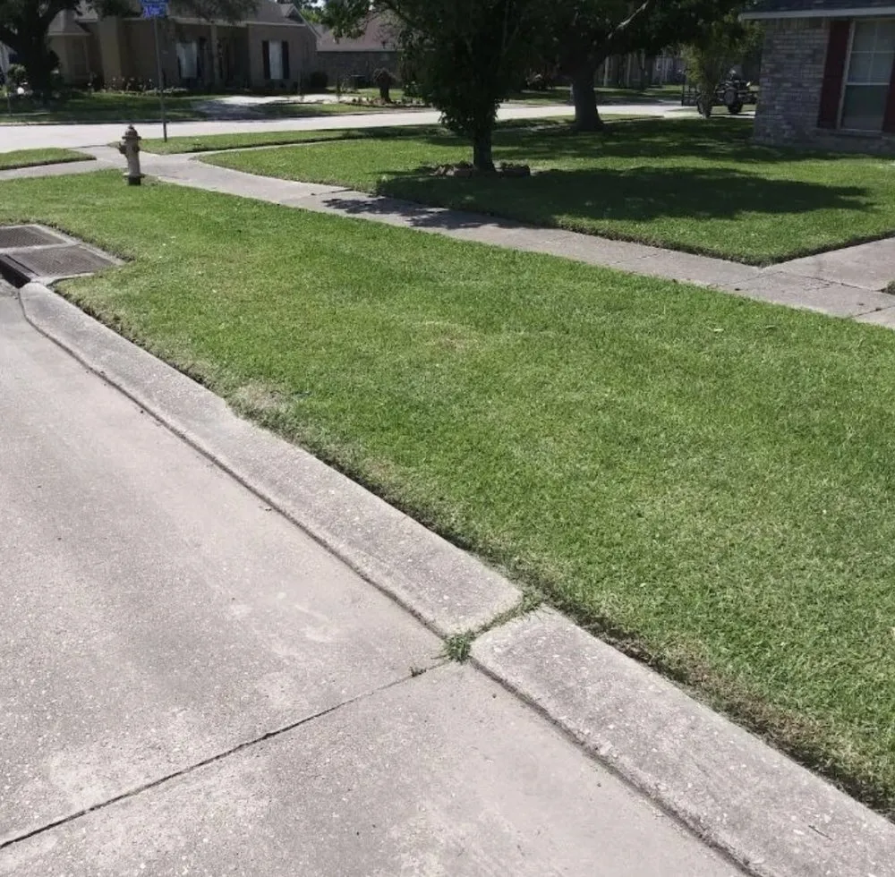 Top-rated residential landscaping for residential properties in Baton Rouge, LA by Rheams Enterprise