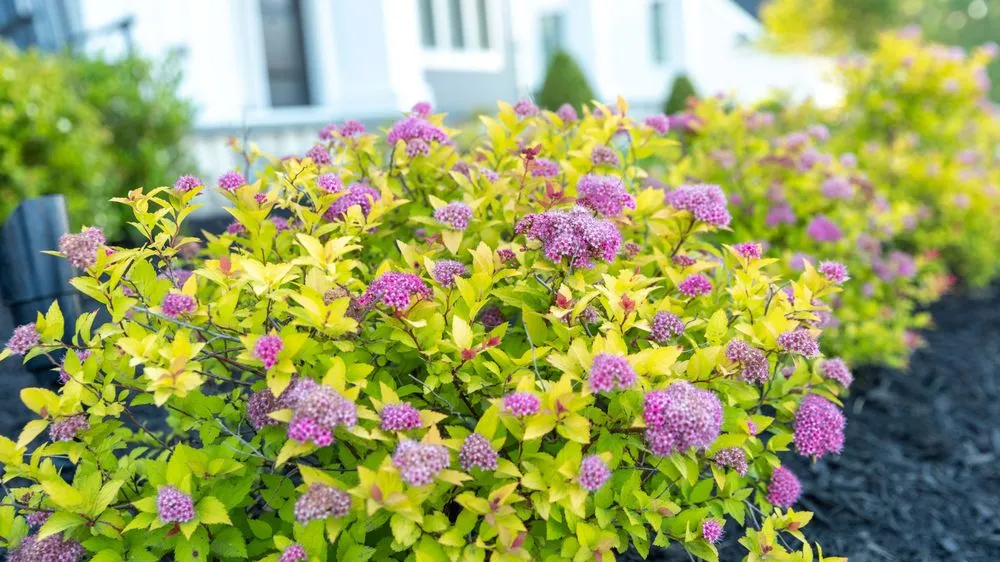 Reliable outdoor landscaping near you across Sykesville, MD - Rhine Landscaping