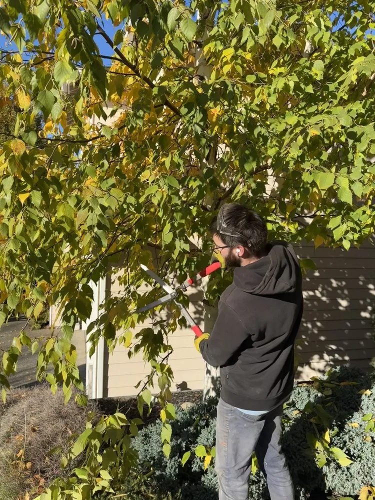 Professional landscape design experts serving Bellevue, WA - Rhino Landscaping