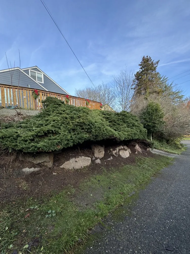 Trusted lawn mowing service in Bellevue, WA - Rhino Landscaping