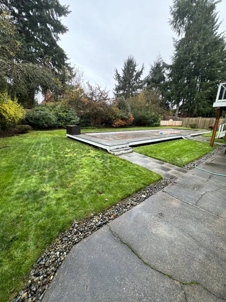 Professional garden landscaping with custom design across Bellevue, WA - Rhino Landscaping