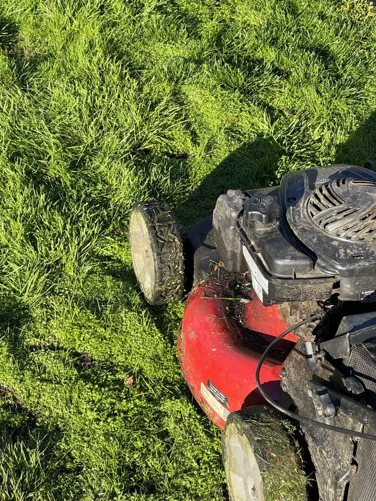 Expert landscape design in Bellevue, WA by Rhino Landscaping