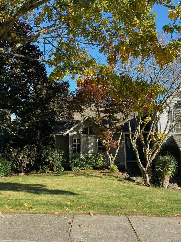 Professional outdoor landscaping in Bellevue, WA by Rhino Landscaping