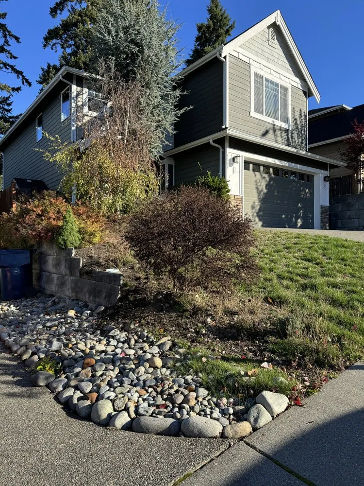 Custom yard maintenance in Bellevue, WA - Rhino Landscaping